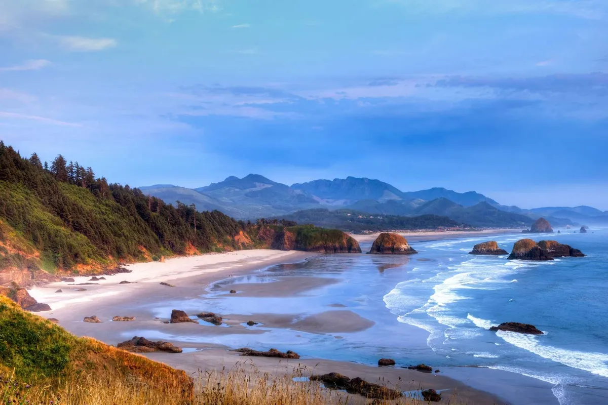 A sweeping view of the coastline with ocean waves crashing against sandy shores, unique rock formations (likely including Proposal Rock), and a distant line of mountains and forest. The beach looks expansive, perfect for family outings and sandcastle building, with tide pools visible at low tide and wildlife like seabirds dotting the scene.