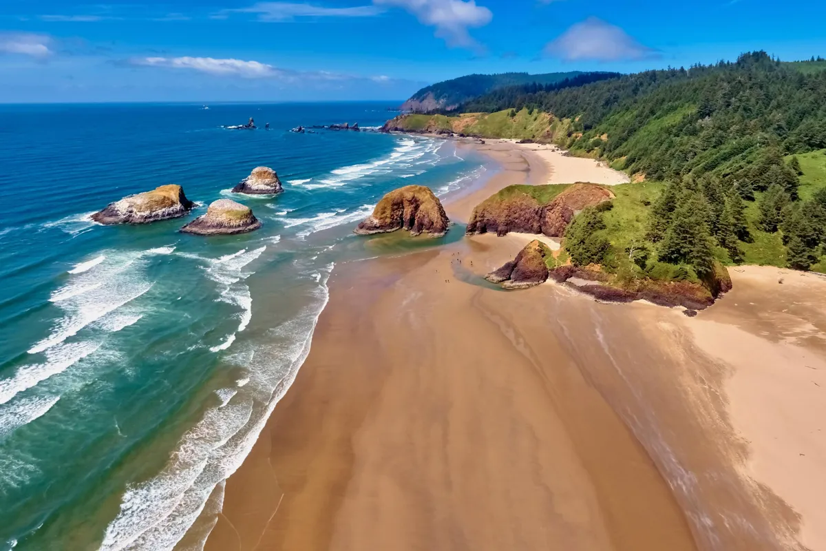 A tranquil scene showing sandy beach, lush greenery backing up to the shore, dramatic rock formations, and gentle waves. The area looks ideal for beachcombing, picnicking, and family play, with ample room for pets and kids to roam near the water.